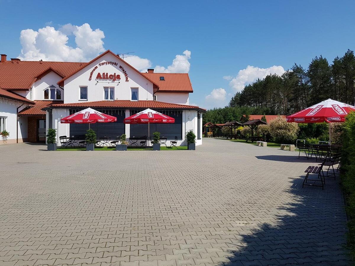 Centrum Turystyki Wiejskiej Alicja Ksiezpol Exterior foto